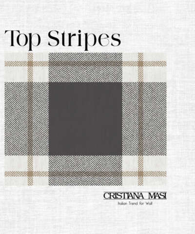 TOP STRIPES *Novità*